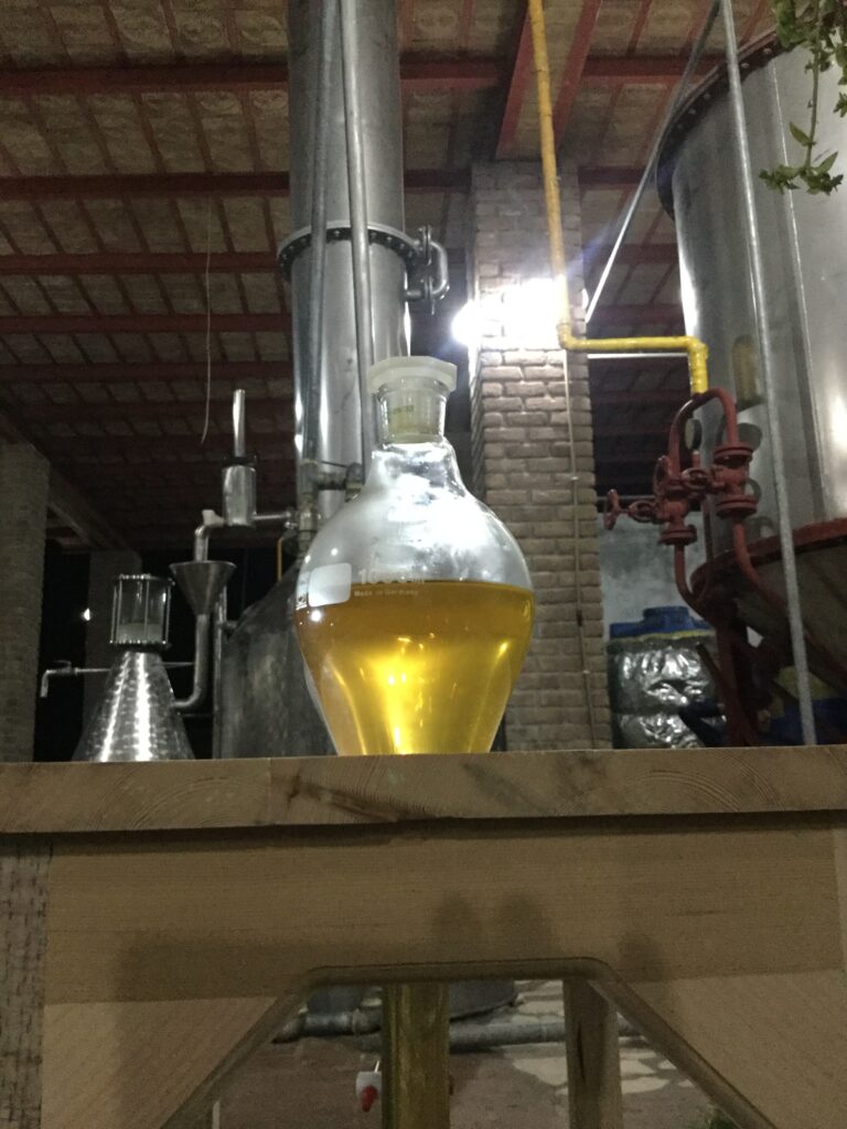 A flask of golden attar oil